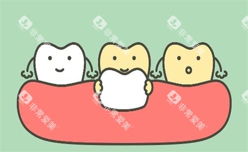 瓷贴面美白牙齿动画展示图