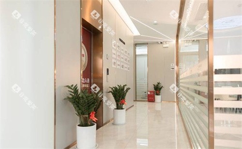 南京金铂利口腔走廊