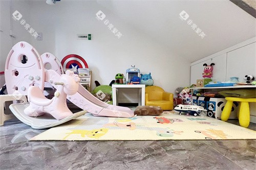 大连极植口腔儿童游乐区