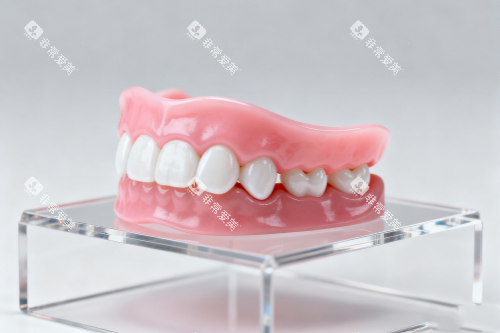 假牙模型一览图