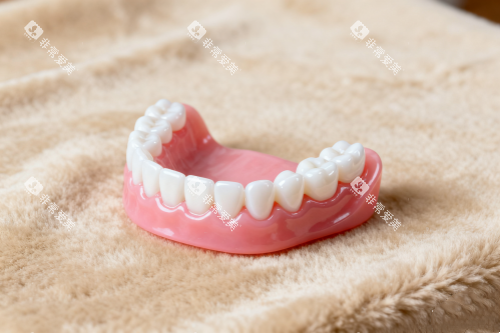 老年人假牙模型图