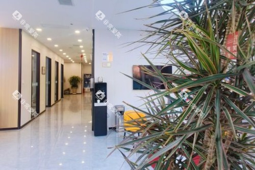 大连奥美口腔环境 大连奥美口腔环境