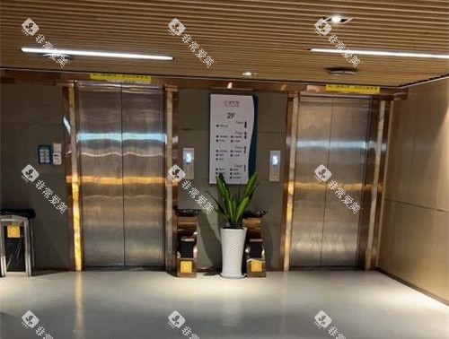 厦门登特口腔电梯口 厦门登特口腔电梯口