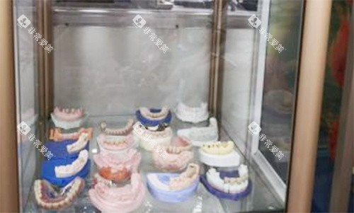 杭州巧妙口腔牙齿模型展示