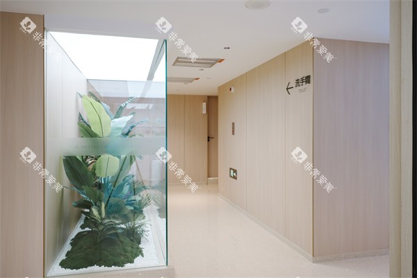 南宁柏乐口腔南湖总院走廊一角环境展示