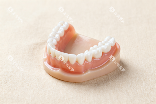 老年人假牙展示