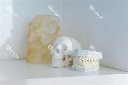 医用牙齿模型宣传图 医用牙齿模型宣传图