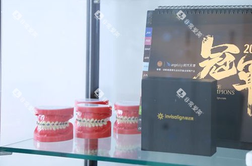 成都美莱口腔牙齿模型展示