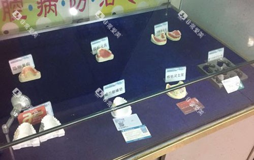 重庆雅博尔口腔牙齿模型展示 重庆雅博尔口腔牙齿模型展示