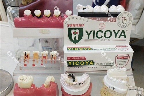 东莞寮步莞口口腔牙齿模型 东莞寮步莞口口腔牙齿模型
