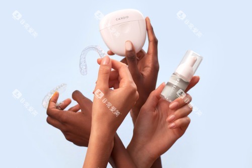 牙齿模型宣传 牙齿模型宣传