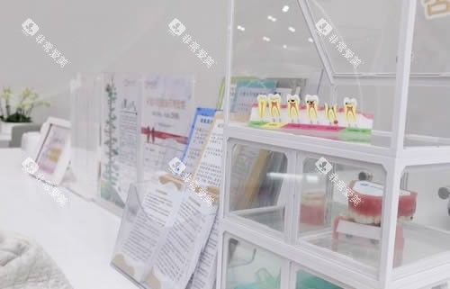 武汉萌芽齿科牙齿模型展示 武汉萌芽齿科牙齿模型展示