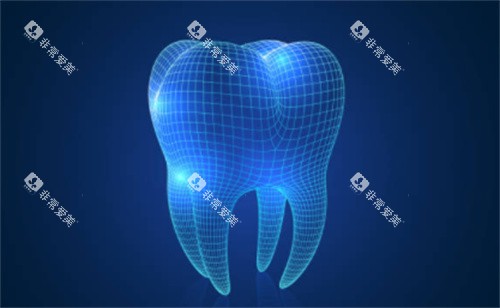 牙齿建模模型图