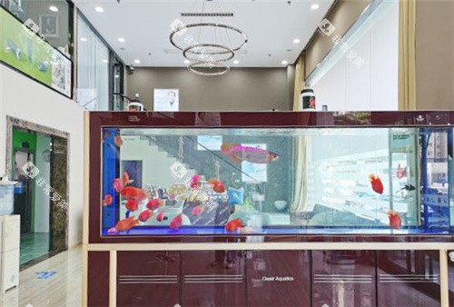 南宁雅仕莱口腔一楼休息区