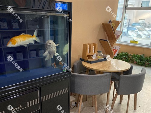 锦州美康口腔休息区及鱼缸 锦州美康口腔休息区及鱼缸