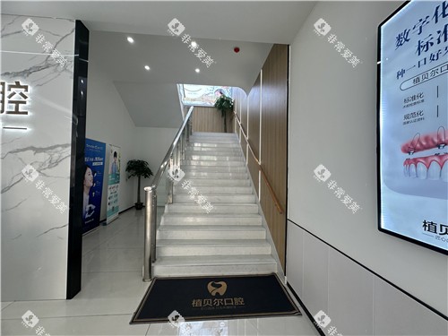 孝感植贝尔口腔楼梯间环境图