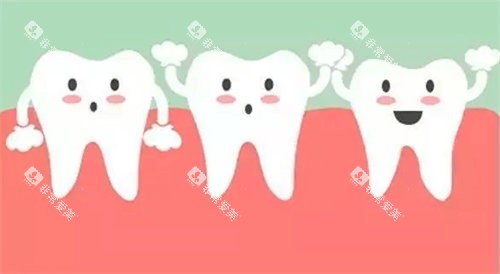 牙齿健康图