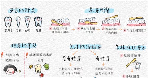 儿童保护牙齿科普 儿童保护牙齿科普