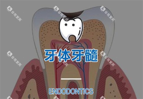 根管治疗改善图