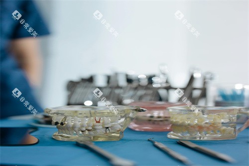 牙齿治疗的模型图 牙齿治疗的模型图