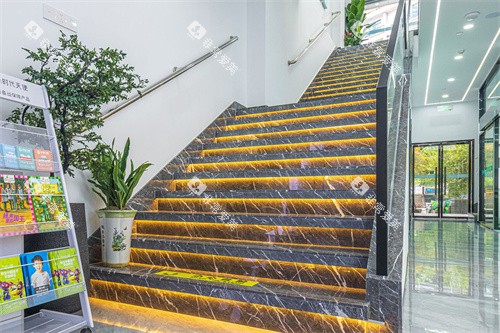 金华莱蒽口腔楼梯间