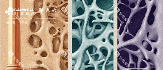 科惠种植牙骨密度检测 科惠种植牙骨密度检测