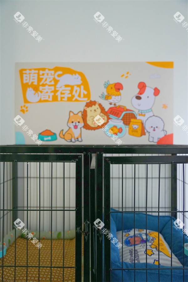 合肥茀莱堡口腔医院内部环境一角