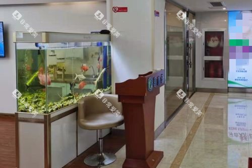 象山丹城口腔内部环境图 象山丹城口腔内部环境图