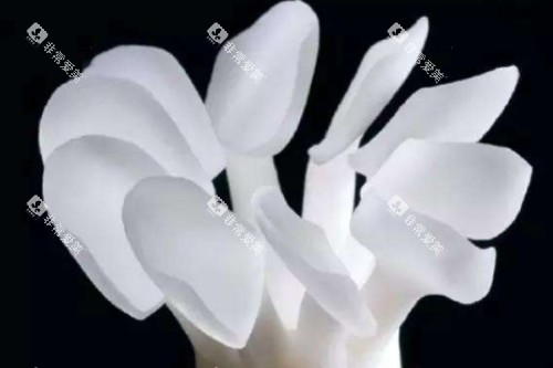 牙齿贴片模型图 牙齿贴片模型图