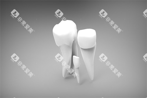 牙齿操作示意图 牙齿操作示意图
