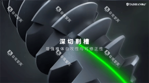 泰山种植牙种植体特色 泰山种植牙种植体特色