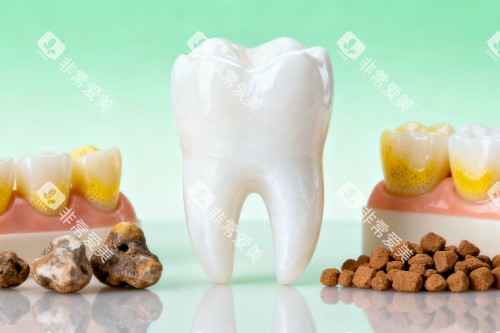 洁白牙齿卡通图片展示 洁白牙齿卡通图片展示