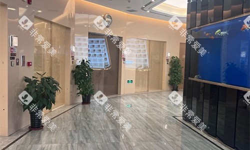 北京劲松口腔（望京院）走廊环境