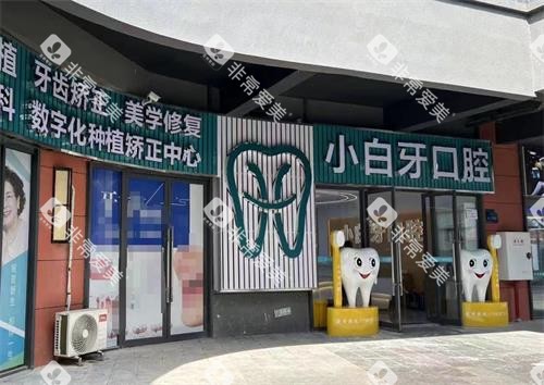 遵义绥阳县小白牙口腔外观