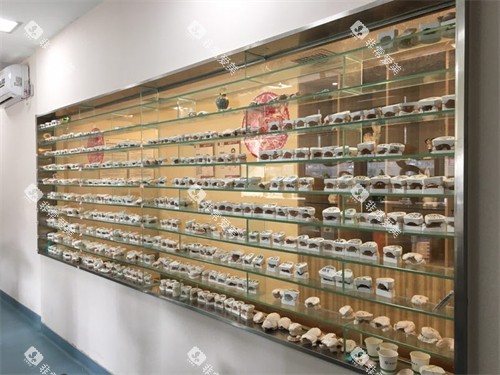 宝鸡小白兔口腔医院牙齿模型展示柜