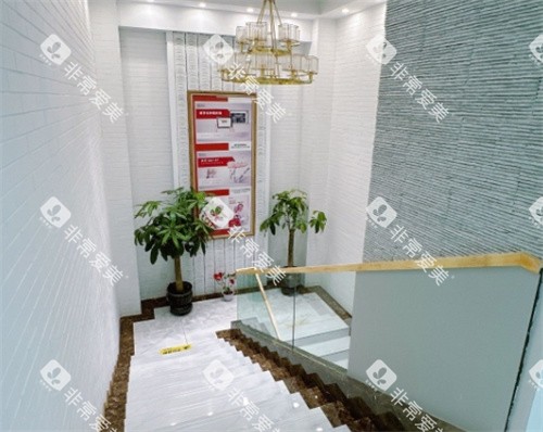 长春诺贝尔口腔(经开店)楼梯间 长春诺贝尔口腔(经开店)楼梯间