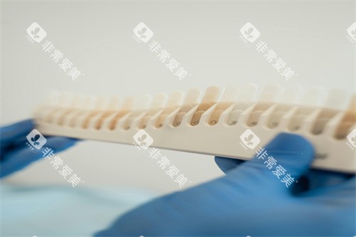 牙齿色号展示板 牙齿色号展示板