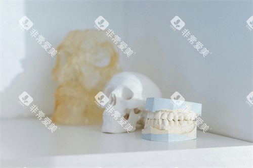 医用牙齿模型宣传图 医用牙齿模型宣传图