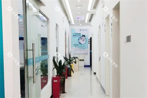 北海海豚口腔走廊