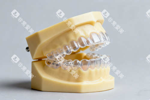 隐形矫正器模型展示图