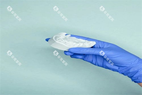 牙齿模型展示 牙齿模型展示