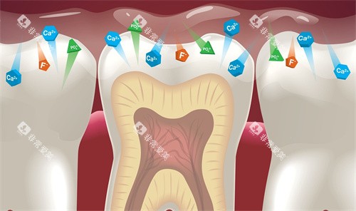 牙齿牙釉质防蛀作用