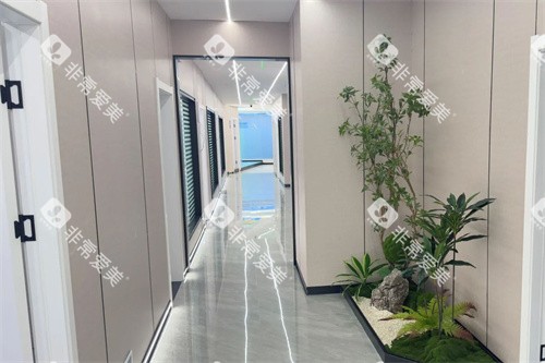 白河牙博仕口腔走廊环境