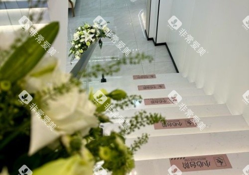 哈尔滨舒诺口腔走廊示意图 哈尔滨舒诺口腔走廊示意图