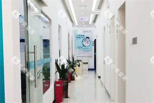 北海海豚口腔走廊 北海海豚口腔走廊