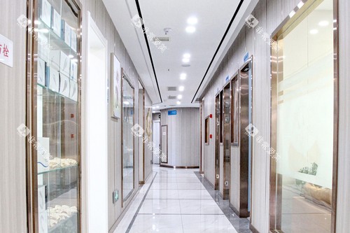 汉中小白象口腔环境图