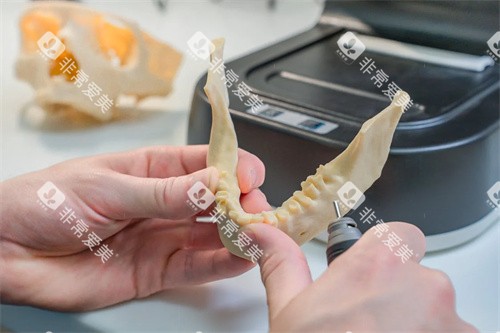 牙齿模型材料示意图 牙齿模型材料示意图