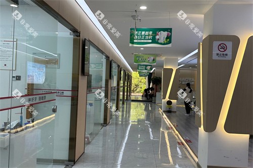 蚌埠皓芽口腔诊室过道