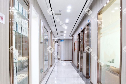 汉中小白象口腔环境图