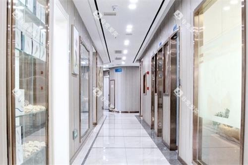 汉中小白象口腔走廊